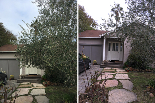 Clearing the Path to a Doorway