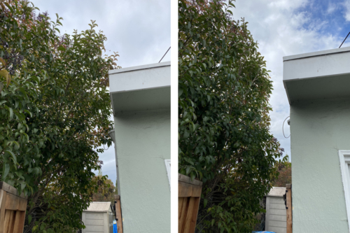 A natural touch on a walkway